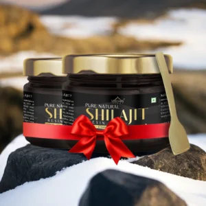 (BUY ONE GET ONE FREE) Himalayan Shilajit Resin